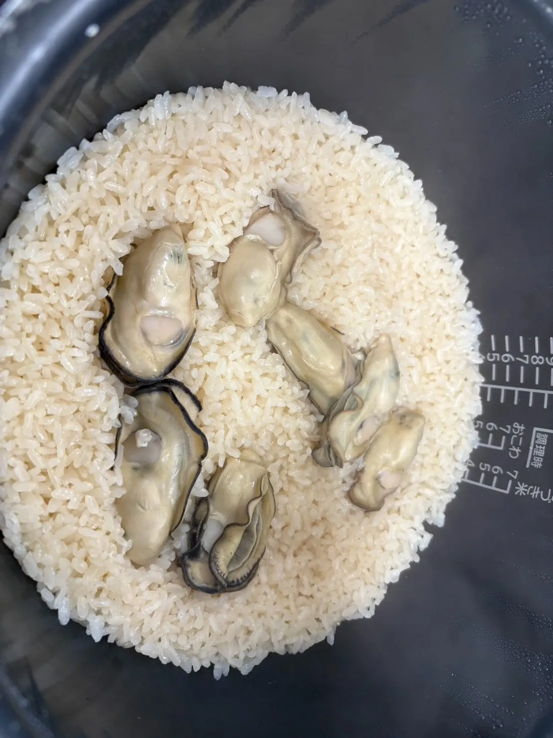 赤穂牡蠣ご飯の素