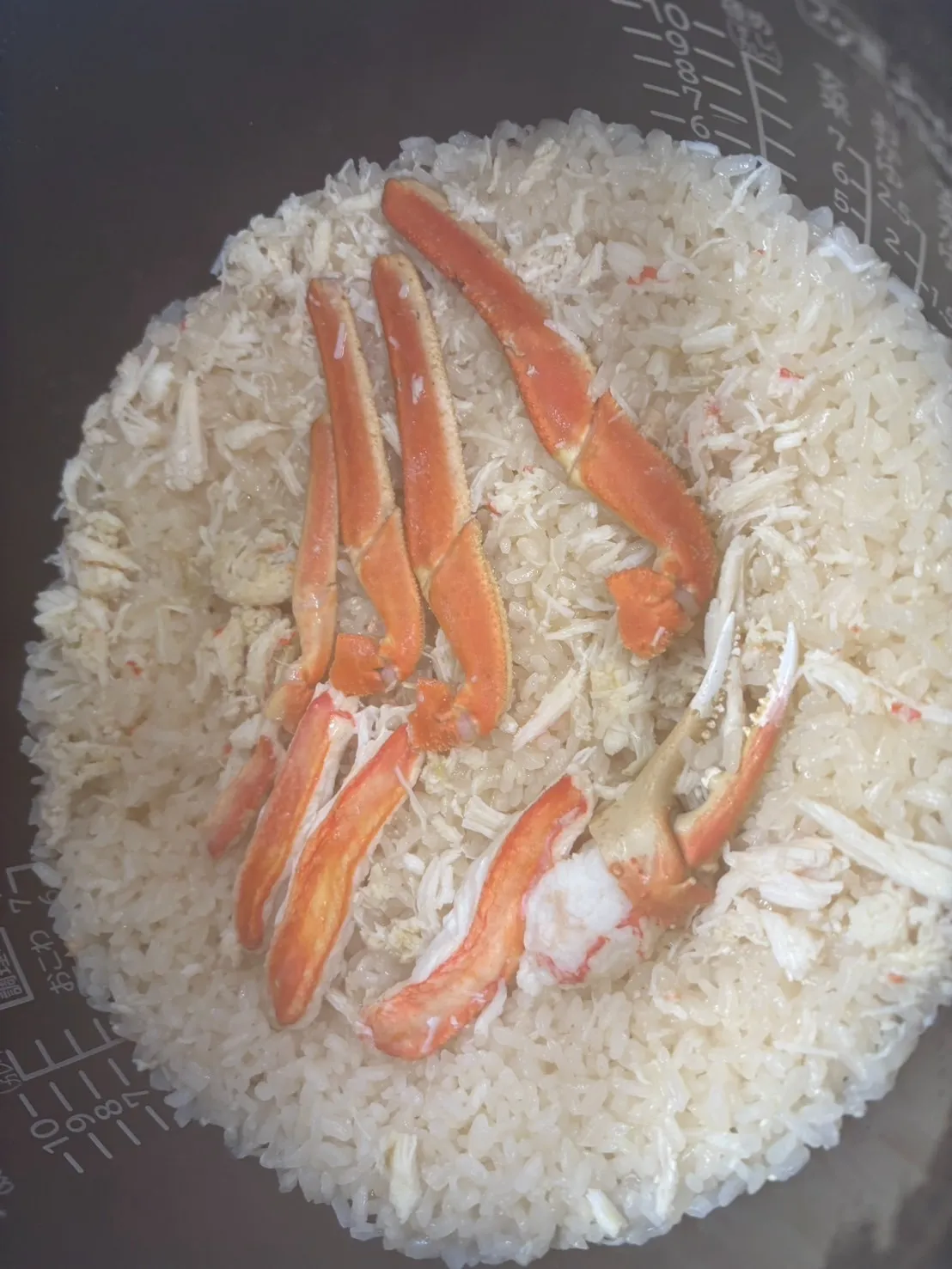本ズワイカニ炊き込みご飯の素